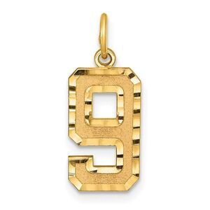 14K Yellow Gold, Varsity Collection, Medium D/C Pendant Number 9
